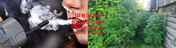 ГАЛЛЮЦИНОГЕННЫЕ ГРИБЫ Белоозёрский