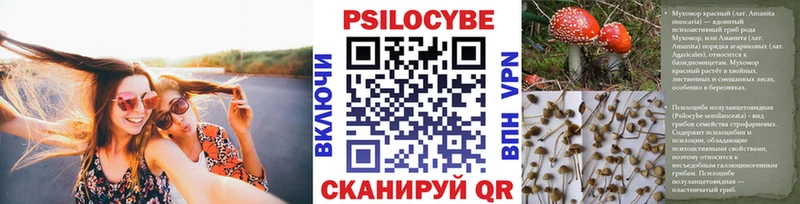 Галлюциногенные грибы мицелий  ОМГ ОМГ рабочий сайт  это какой сайт  Свободный 
